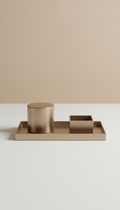 Brushed Metal Tray Set of Two